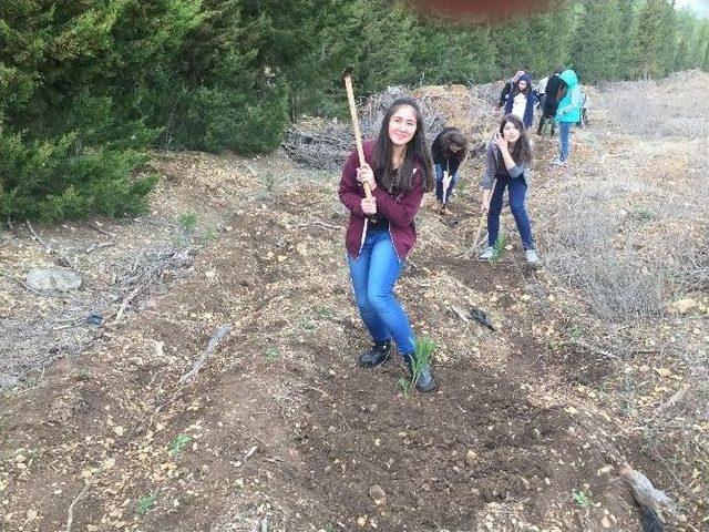 Liseli Öğrenciler Baharı Fidan Dikerek Karşıladı 3