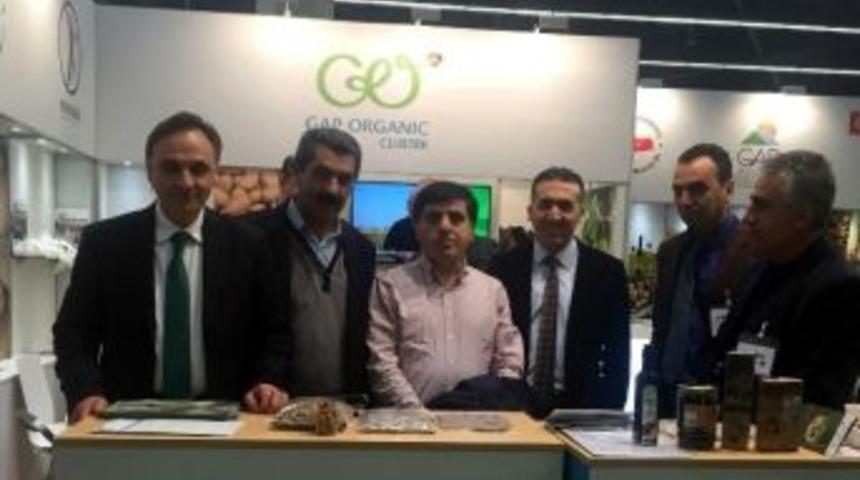 Tut&rsquo;un Organik &Uuml;r&uuml;nleri Almanya&rsquo;da Tanıtıldı