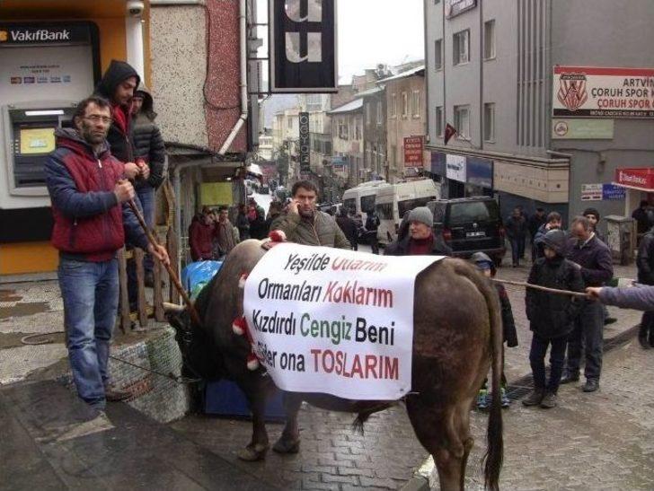 Cerattepe İçin Boğalarla Yürüdüler G1