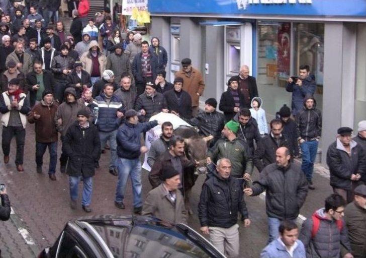 Cerattepe İçin Boğalarla Yürüdüler G4