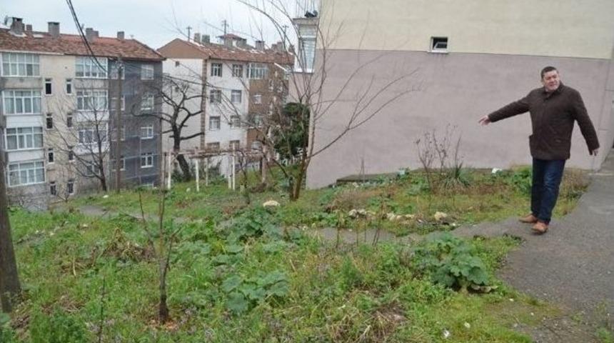 Başkan Tekin &Ccedil;alışmaları Denetledi