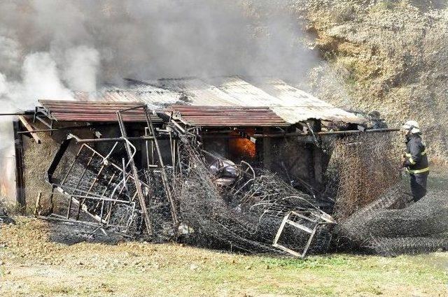 Gecekondu Yangını Korku Dolu Anlar Yaşattı