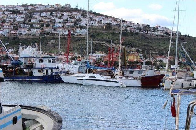 Foça’da Jandarma Ekipleri Kuş Uçurtmuyor