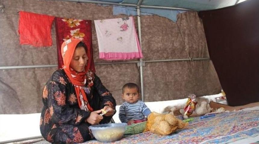 (&ouml;zel Haber) Esad Rejiminin Attığı Bombalar Evlerini &Uuml;zerlerine Yıktı!