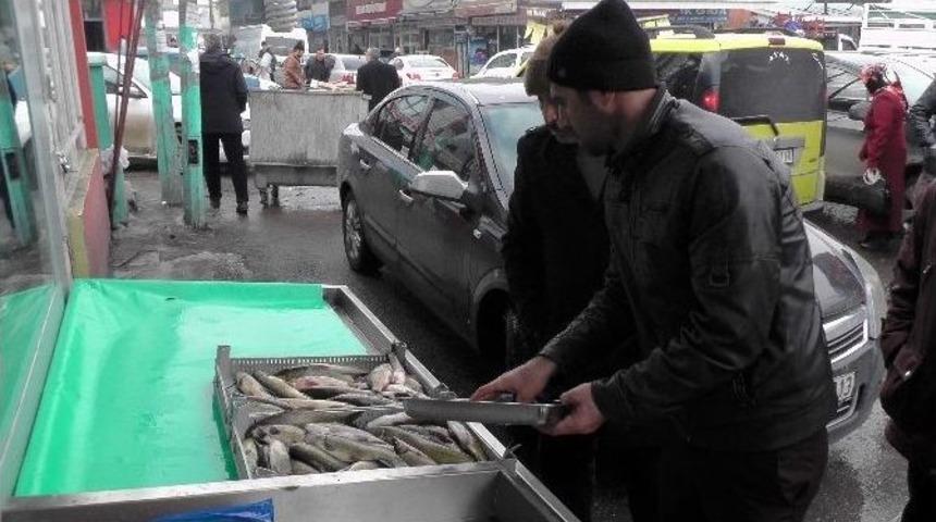 Muş Balığı Reva&ccedil;ta