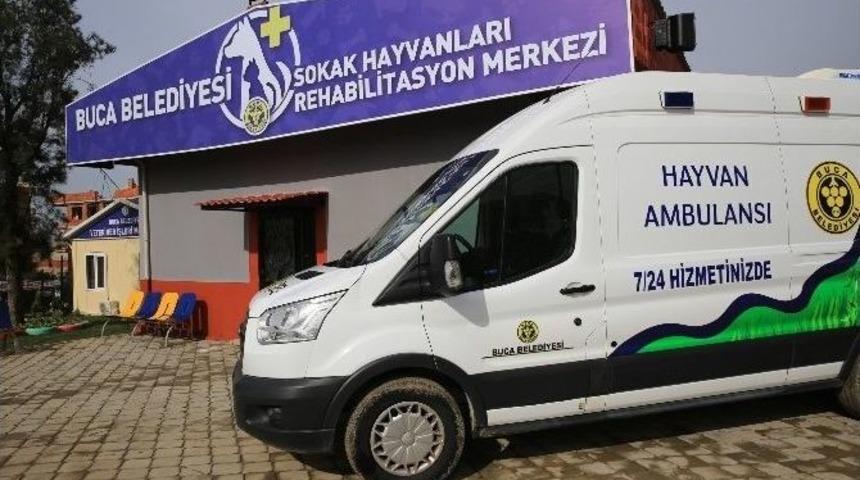 Buca&rsquo;da Sokak Hayvanlarına Beş Yıldızlı Merkez