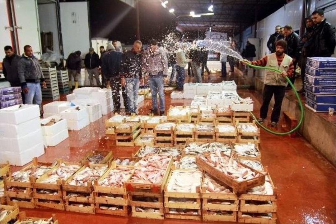 Soğuk Ve Fırtına Balık Fiyatlarına Tavan Yaptırdı