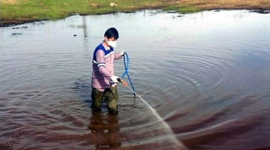 Manavgat&rsquo;ta Sineklere Ge&ccedil;it Yok