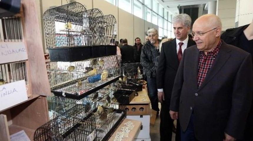 Kuş Fuarı&rsquo;na Yoğun İlgi