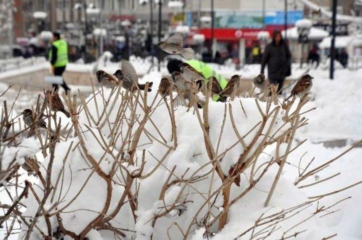 Sivas’ta 618 Köy Yolu Ulaşıma Kapandı G4