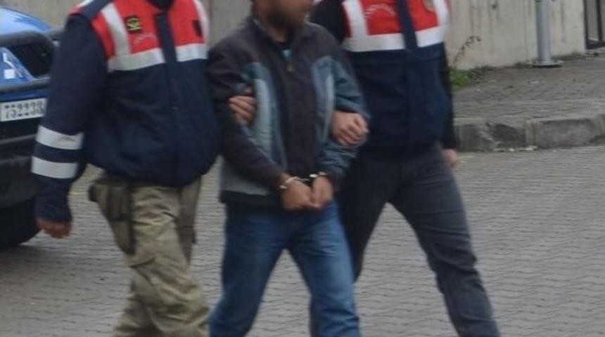 Ordu&rsquo;da Fındık Hırsızlığı