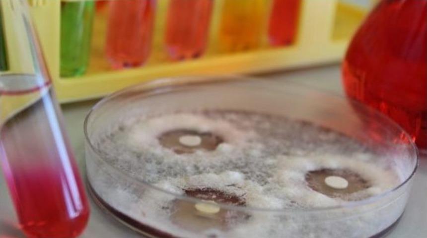 Niğde &Uuml;niversitesi İnsana Ve Doğaya Zarar Vermeyen Tarım İlacı &Uuml;retti