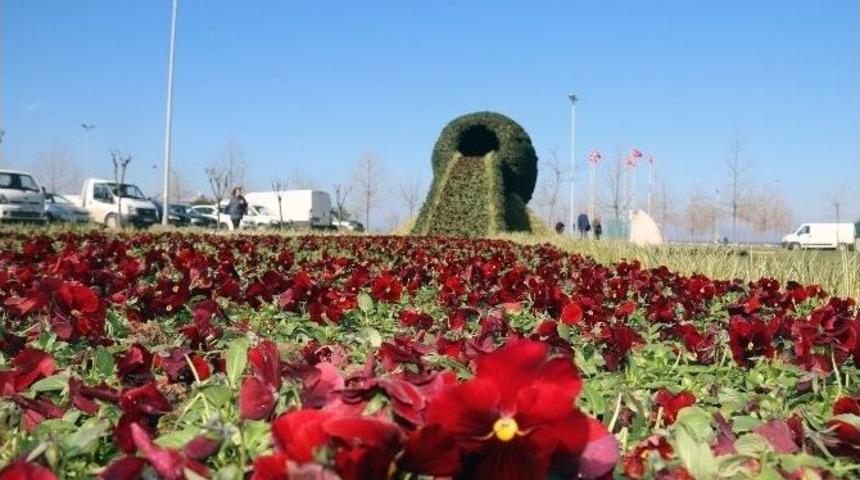 Yalova&rsquo;ya &Ccedil;i&ccedil;ek Şelalesi