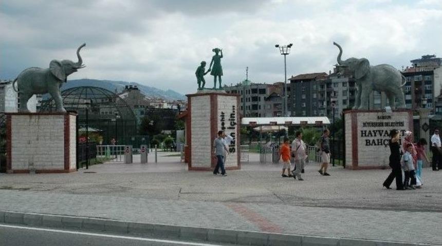 Hayvanat Bah&ccedil;esi Bayrak Tepe&rsquo;ye Taşınacak