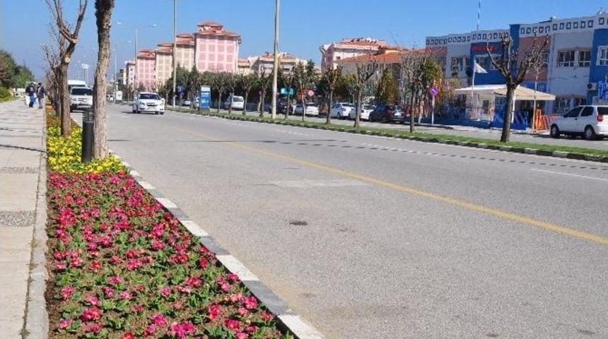 Ingolstadt Bulvarı &Ccedil;i&ccedil;eklerle S&uuml;slendi