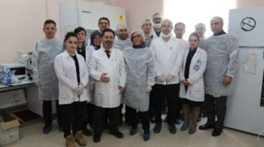 Erzurum Beah&rsquo;ta &lsquo;uygulamalı H&uuml;cre K&uuml;lt&uuml;r&uuml; Ve Molek&uuml;ler Biyoloji Araştırmaları&rsquo;kursu Verildi