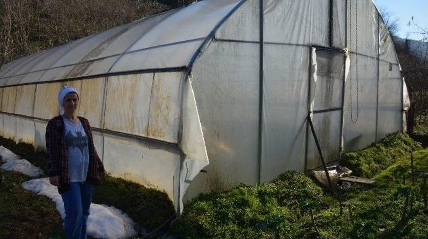 Serasında Kışın Da &Uuml;retim Yapmak İstiyor