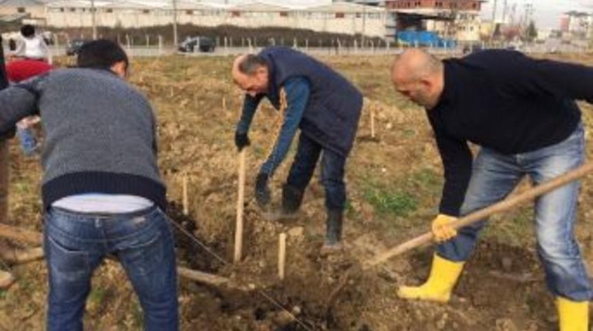 Od&uuml;&rsquo;l&uuml; &Ouml;ğrenciler 900 Meyve Fidanı Dikti