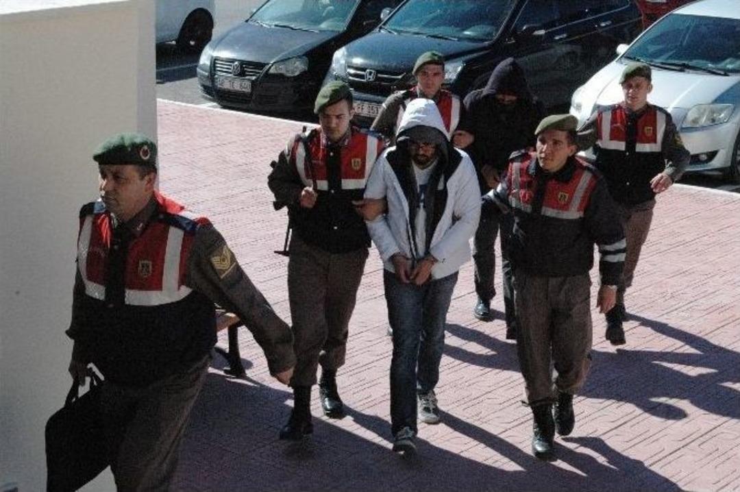 Ka&ccedil;aklar Cennet Koya Dadandı