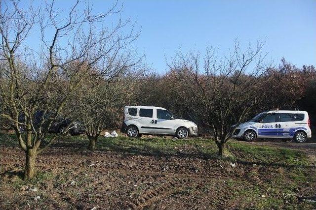 (özel Haber) Armut Bahçesinden Çelik Kasa Çıktı