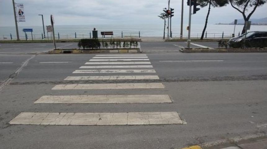 Karadenizlinin Yaya Ge&ccedil;idi