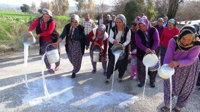 (özel Haber) Köylü Kadınlar Sütlerini Sokağa Döktü