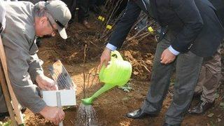 Ordu’da 7 İlçede 303 Bin 600 Fidan Dikildi