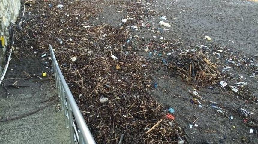 Ak&ccedil;akoca Sahilleri &Ccedil;&ouml;pl&uuml;ğe D&ouml;nd&uuml;