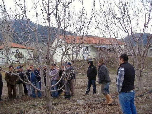 Sertifikalı Budamacı Oldular 1