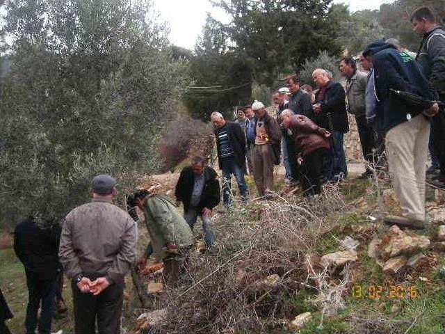 Sertifikalı Budamacı Oldular 2