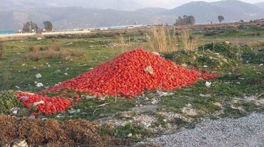 Chp Antalya Milletvekili Devrim K&ouml;k: "antalya&rsquo;da Domates Tarlada 70 Kuruş, Tezgahta 5 Lira"