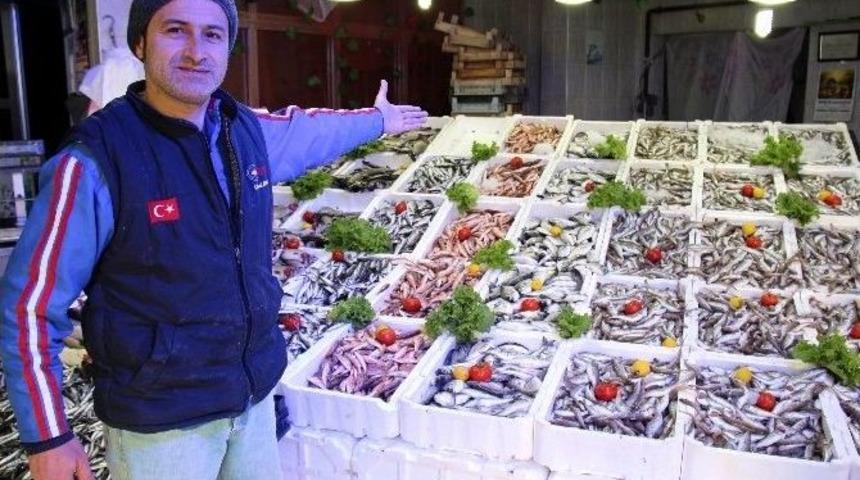 Havalar Isınınca Hamsi Soğuk Sulara Ka&ccedil;tı