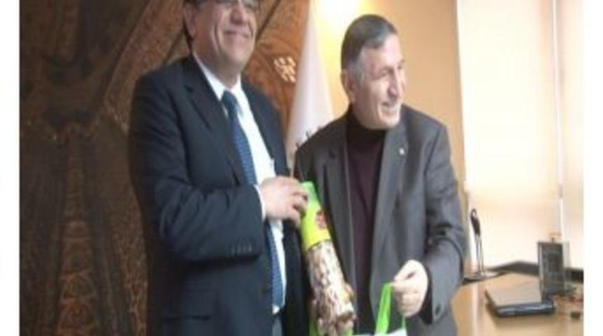 Stso&rsquo;dan Araplara Yatırım &Ccedil;ağrısı