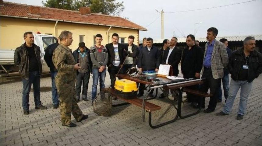 Barınak Personelleri Diplomalı Olacak