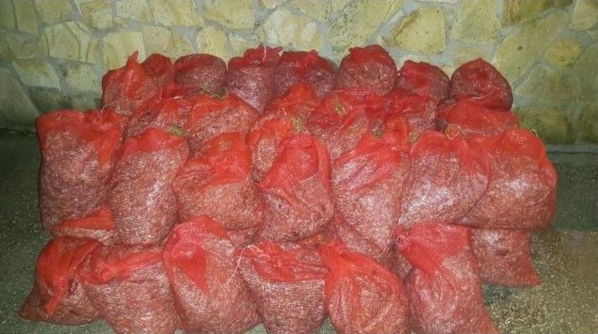 Edirne&rsquo;de Midye Ka&ccedil;ak&ccedil;ılığı