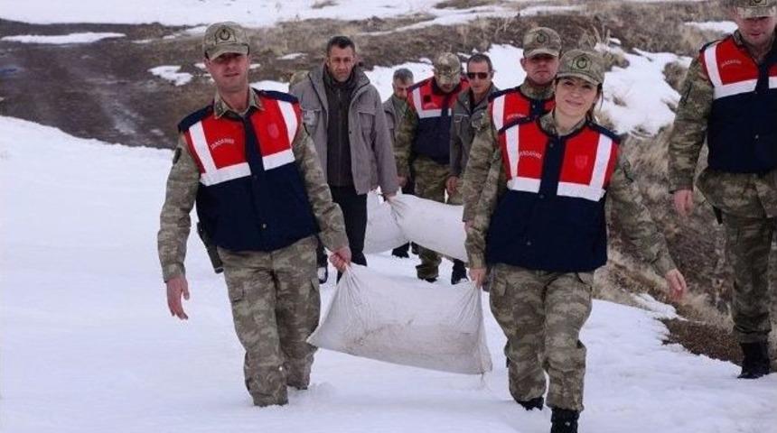 Mehmet&ccedil;ik Yabani Hayvanlara Yem Bıraktı