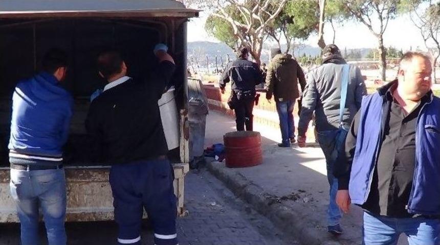 &Ccedil;anakkale&rsquo;de Kedi Katliamı