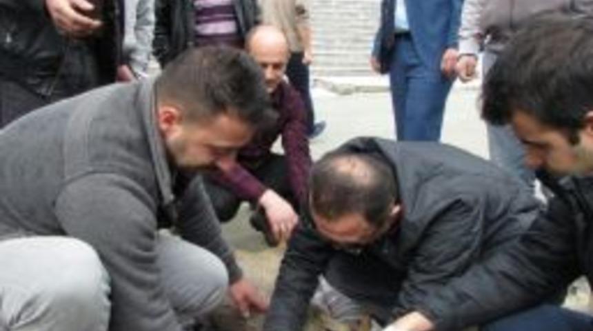 K&ouml;peklerin Yaraladığı Karaca Tedavi Altına Alındı