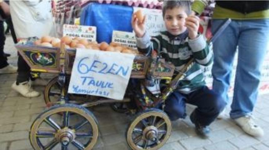 Gezen Tavuk Yumurtası İ&ccedil;in Minyat&uuml;r Araba Yaptırdı