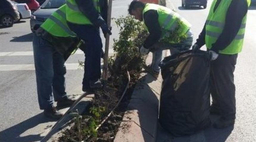 Ref&uuml;jler Bahara Hazırlanıyor