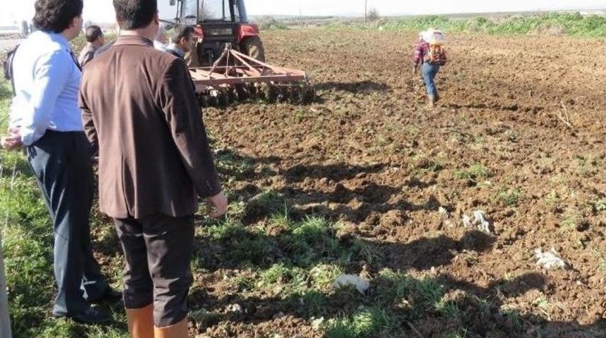 Biga&rsquo;da Arı Otu T&ouml;renle Dikildi