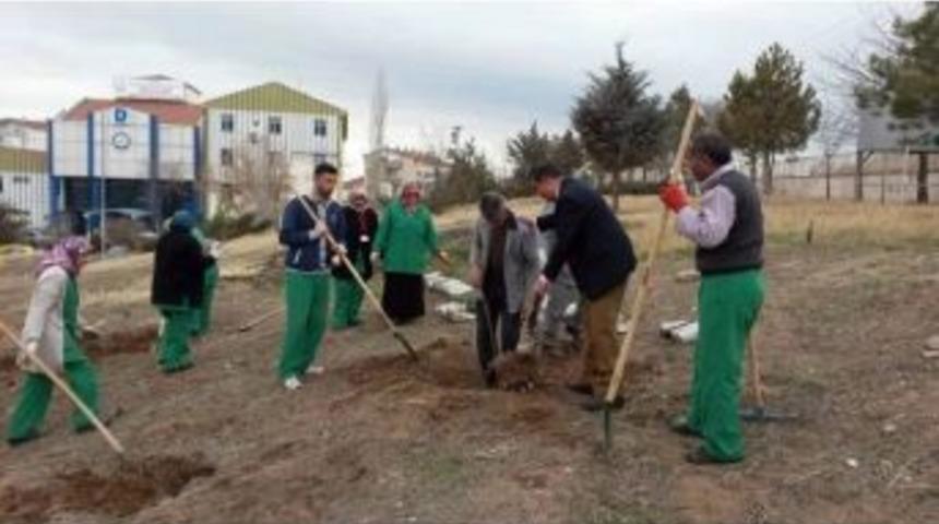 Aksaray Devlet Hastanesi Yeşilleniyor