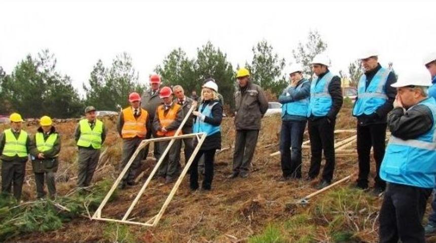 Silvikültür Ve Ağaçlandırma Seminerleri Tamamlandı