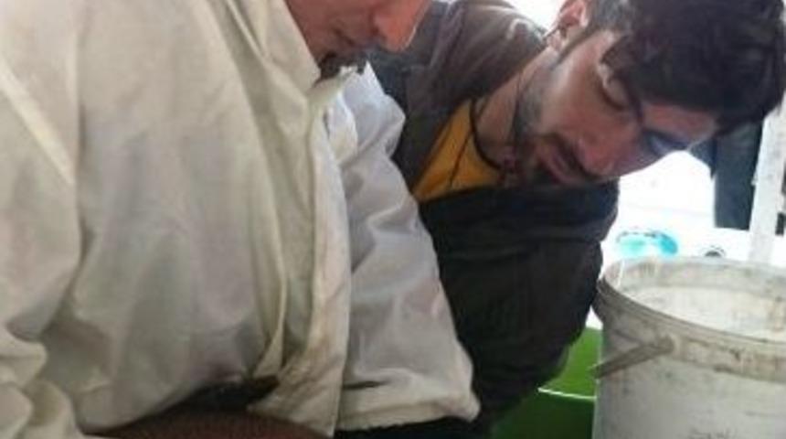 Van’da Su Ürünleri Tesisleri Denetlendi