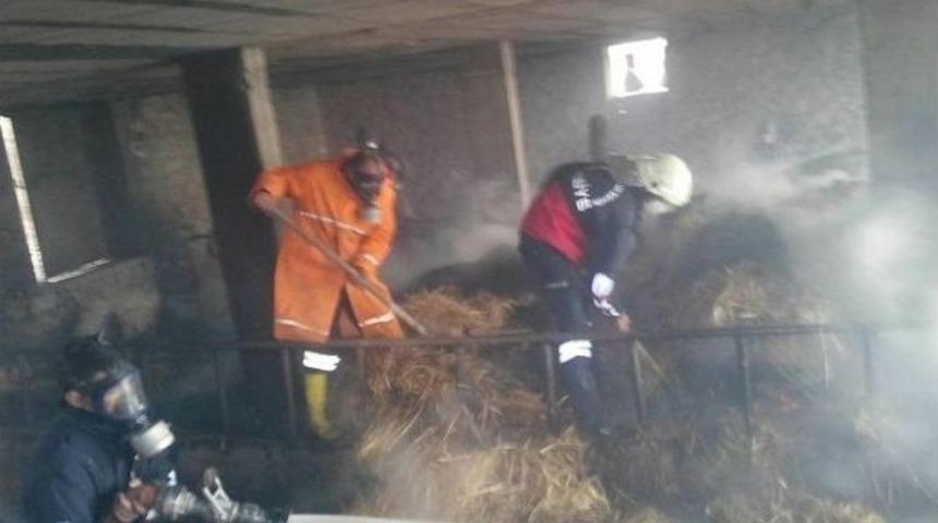 Ahırda &Ccedil;ıkan Yangında Hayvanlar Telef Oldu