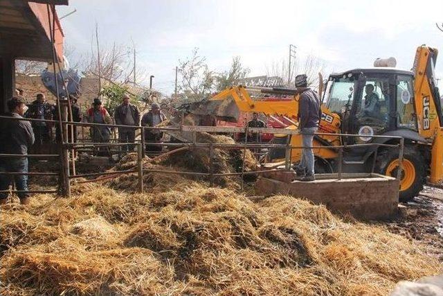 Ahırda Çıkan Yangında Hayvanlar Telef Oldu