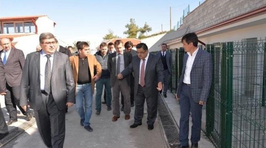 Başkan Yağcı, Sokak Hayvanları Tedavi Ve Rehabilitasyon Merkezi&rsquo;nde İncelemelerde Bulundu