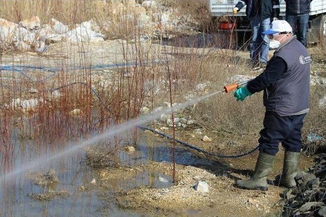 Selçuk’ta Sivrisinekle Mücadele Kış Aylarında Da Sürüyor