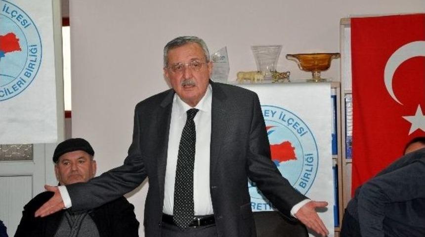 Karacabey&rsquo;de Hayvan Sayısı Azaldı