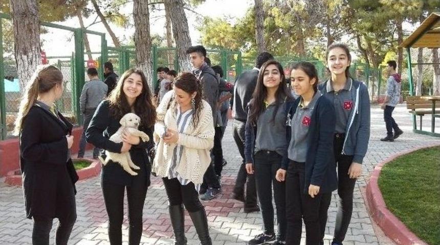 Gaziantep&rsquo;te Kuşların Yuvalarını &Ouml;ğrenciler Yapıyor